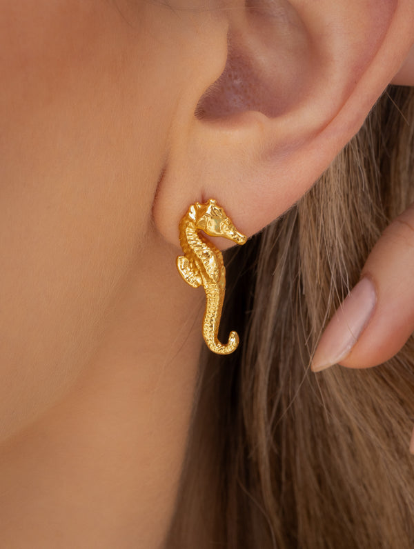 Aretes Caballito de Mar
