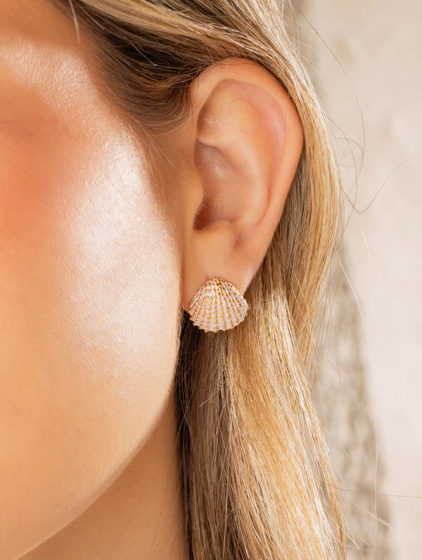 Aretes Concha Blanco Perlado