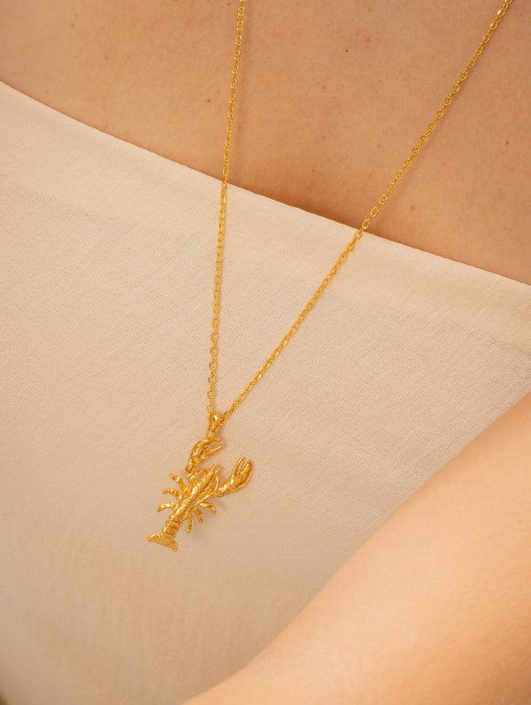 Collar Langosta + Aretes