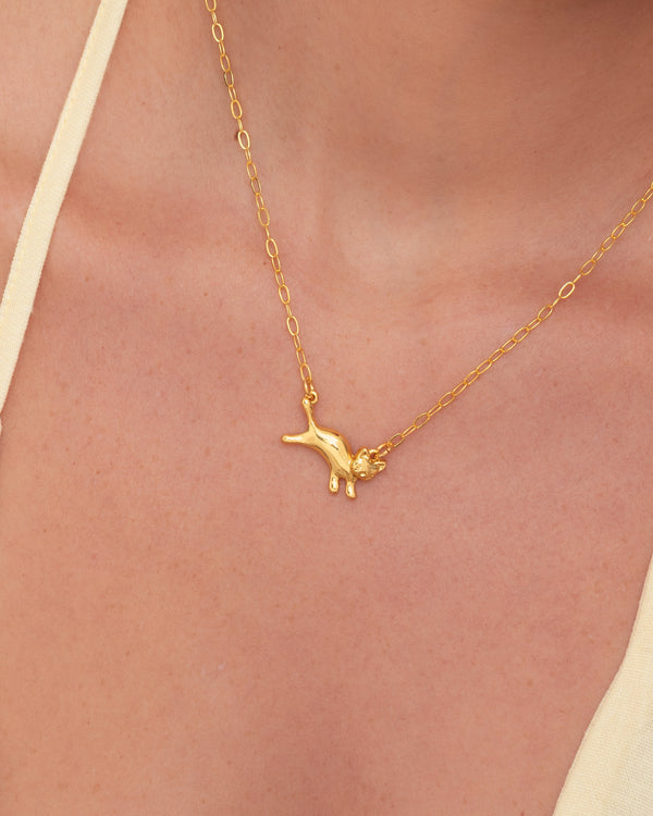 Set Collar Gato + Aretes Huella