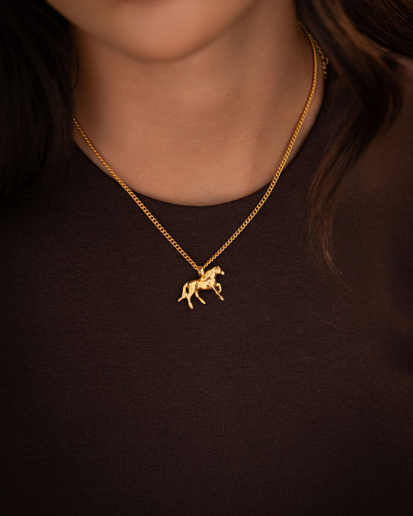 Collar Caballo