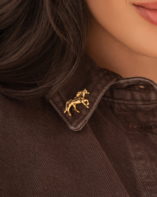 Pin Caballo